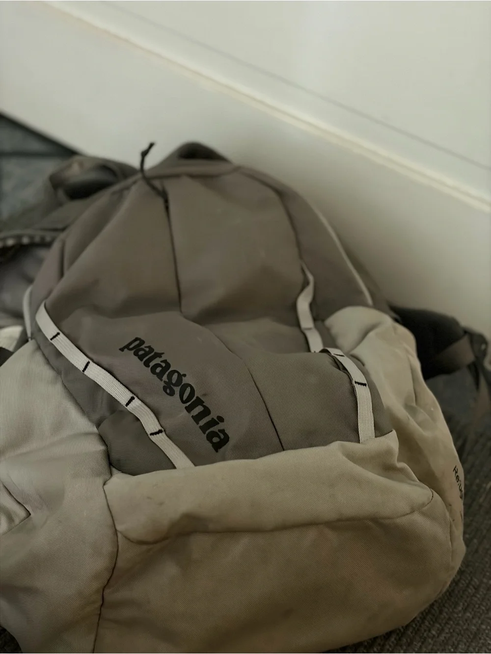 Patagonia Backpack 30L